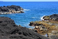 fish point