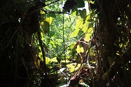 portal