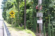 sign post
