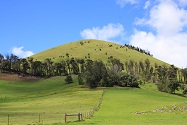 waimea hill